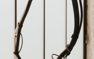 Couleur des poils et laser : un critère suffisant ?