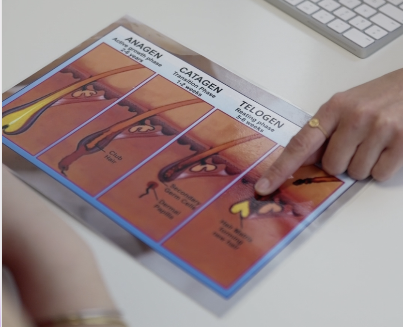 L’importance du cycle pilaire